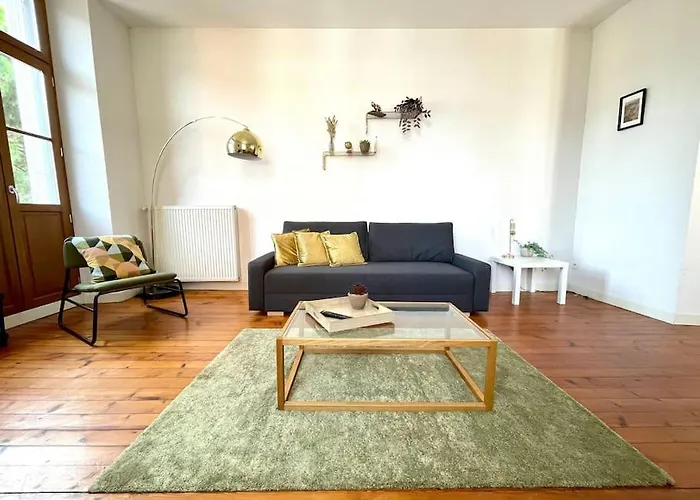 Апартаменты Le Riquet - Hyper Center Тулуза